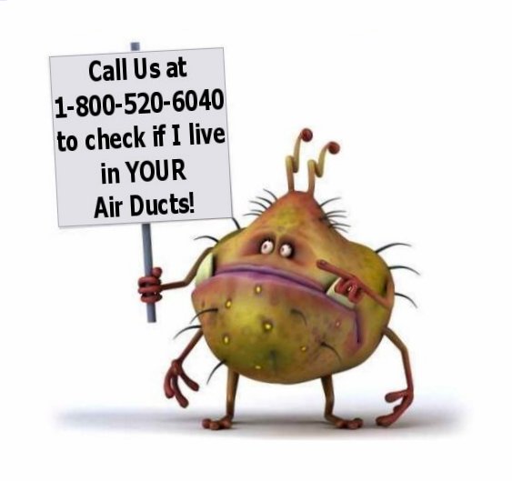 Checkpoint Cleaning Service Cartoon Dust Mite